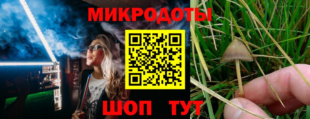 Псилоцибиновые грибы Magic Shrooms  Вход с VPN  Галлюциногенные грибы Magic Shrooms  Курчалой 